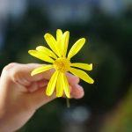 彼の好きな人は誰？まさか…私？あなたの存在・揺れる想い・告白