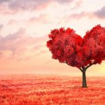 片想い占い｜今すぐ止めたい辛い恋（でも諦められない…）２人の現実・恋進展